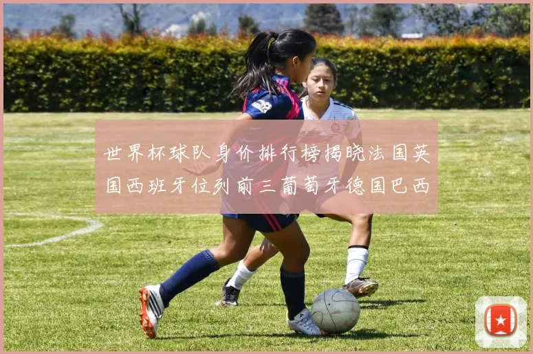 世界杯球队身价排行榜揭晓法国英国西班牙位列前三葡萄牙德国巴西身价均超九亿欧元