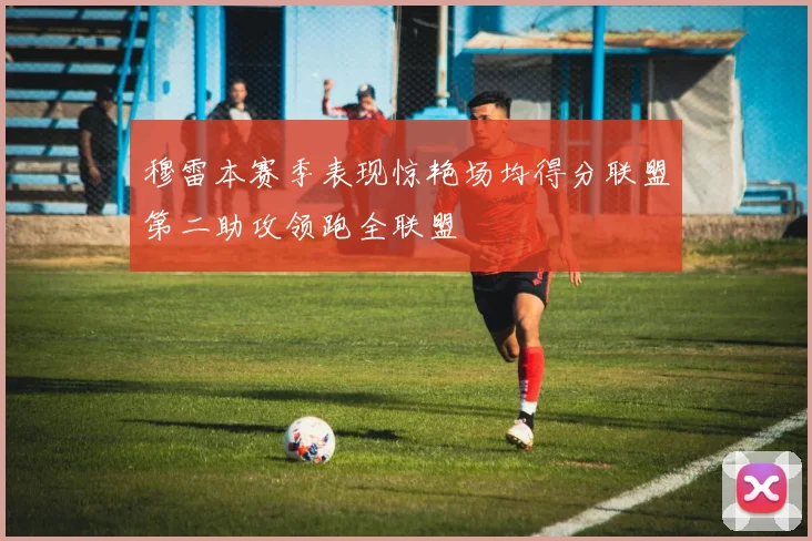穆雷本赛季表现惊艳场均得分联盟第二助攻领跑全联盟