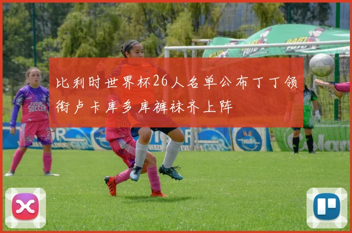 比利时世界杯26人名单公布丁丁领衔卢卡库多库裤袜齐上阵