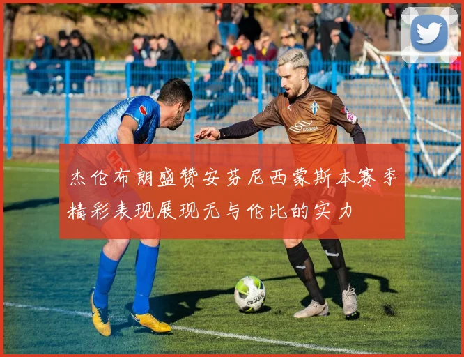 杰伦布朗盛赞安芬尼西蒙斯本赛季精彩表现展现无与伦比的实力