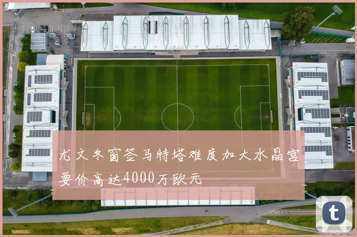 尤文冬窗签马特塔难度加大水晶宫要价高达4000万欧元