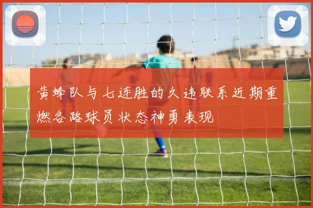 黄蜂队与七连胜的久违联系近期重燃各路球员状态神勇表现
