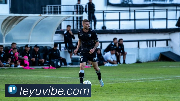 乐鱼体育发展历程