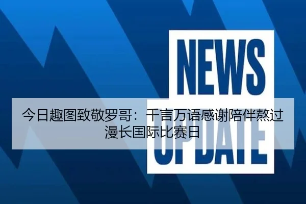 今日趣图致敬罗哥：千言万语感谢陪伴熬过漫长国际比赛日（leyu）